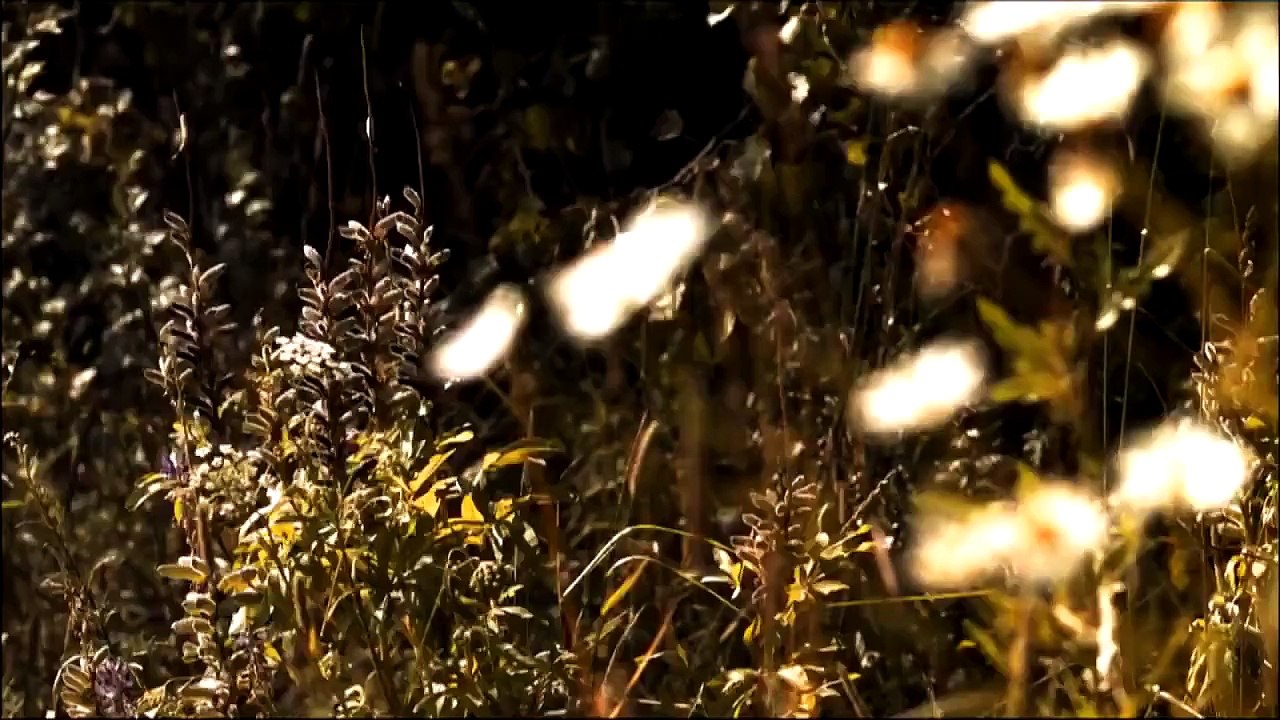 Arkona - Slav'sia Rus' ! (Аркона- Славься Русь!) Sub. Español, Ruso, Pron.