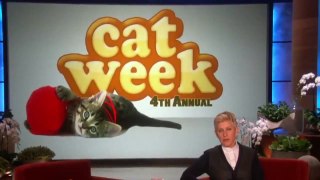 Cat Week's Final MeowwThe Ellen DeGeneres Show 2013