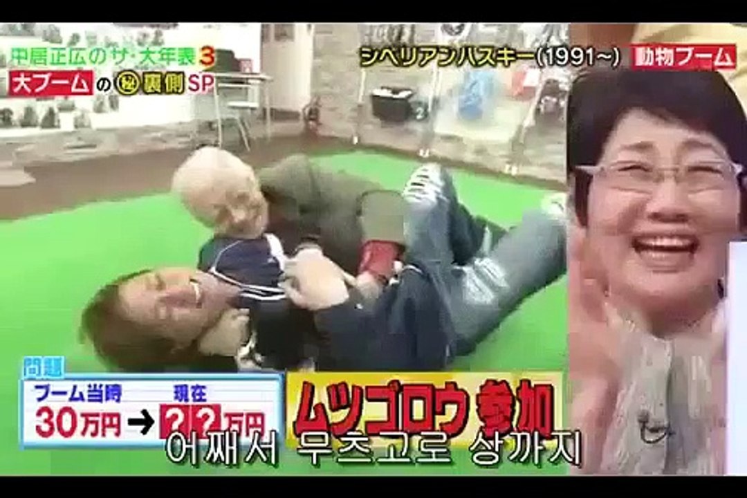 『中居くんとワンちゃん』SMAP