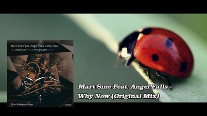 Mart Sine Feat. Angel Falls - Why Now (Original Mix)