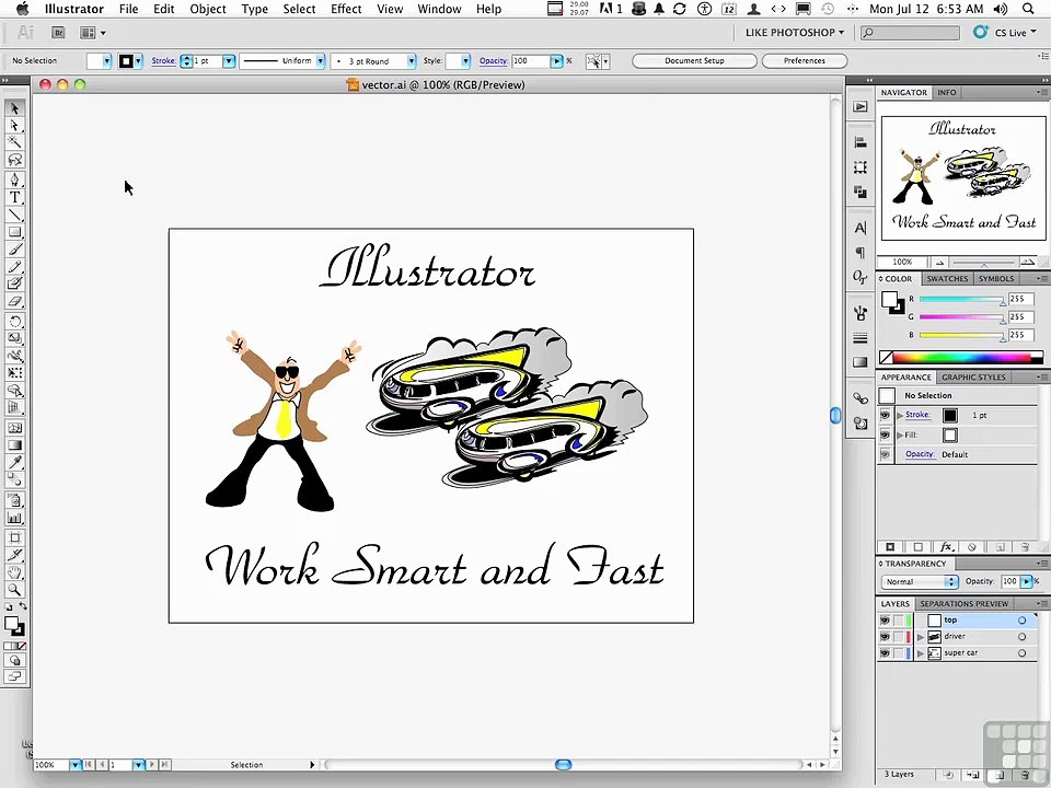 Vector Versus Raster