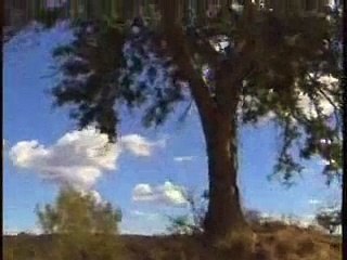 Game Drive With Rexon Ntimane Pt.3