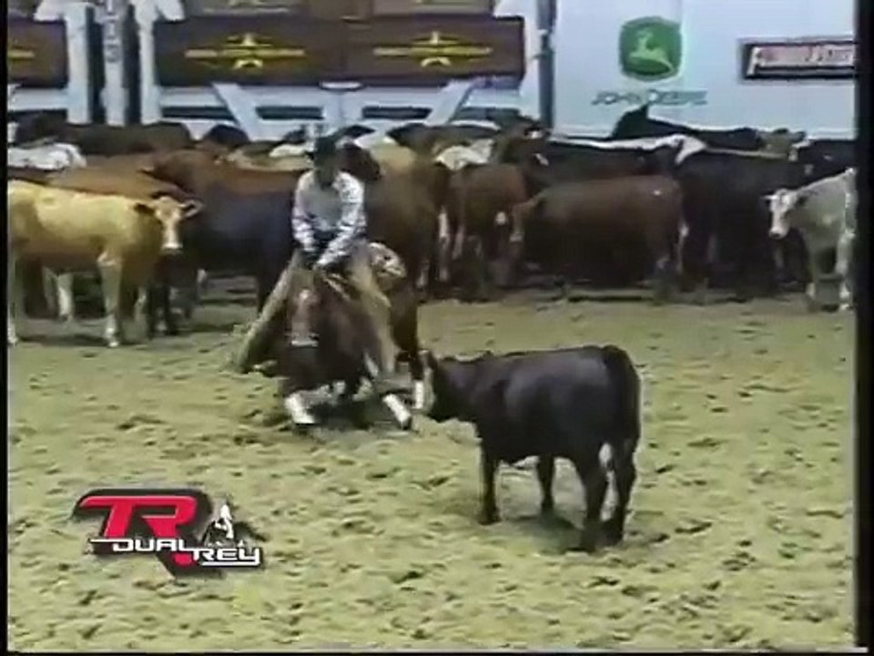 SDP Buffalo Ranch - TR Dual Rey 2003 NCHA Derby Open Reserve CHAMPION