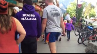 American Bullies on the Loose in Banff