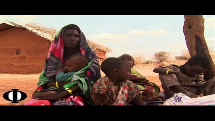 Green Technology in Africa. An Aquaponics Poem By Jasmine Waiters