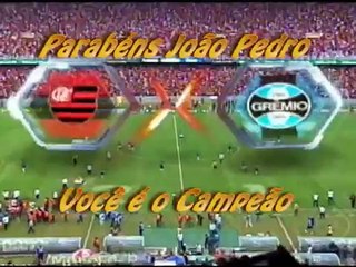 FLAMENGO HEXA CAMPEÃO BRASILEIRO 2009 - 8º ANIVERSÁRIO DE JOÃO PEDRO.
