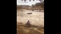 LiveLeak   Extremely Lucky Driver Survives after Navigating Through Flood Waters