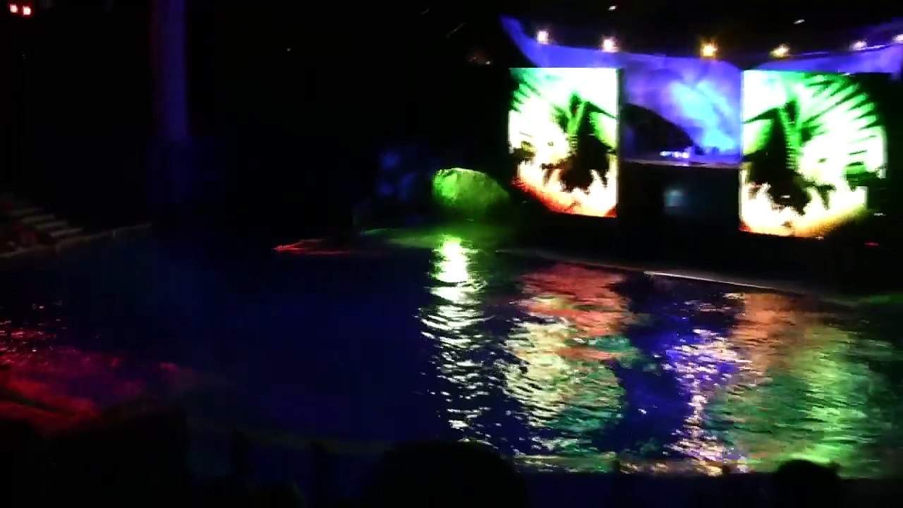 Shamu Rocks in High Definition HD at SeaWorld Orlando 12th October 2008