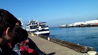 Whale Watching on the San Diego Shore