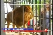 BuinZoo en Chilevisión Noticias - Historia de 