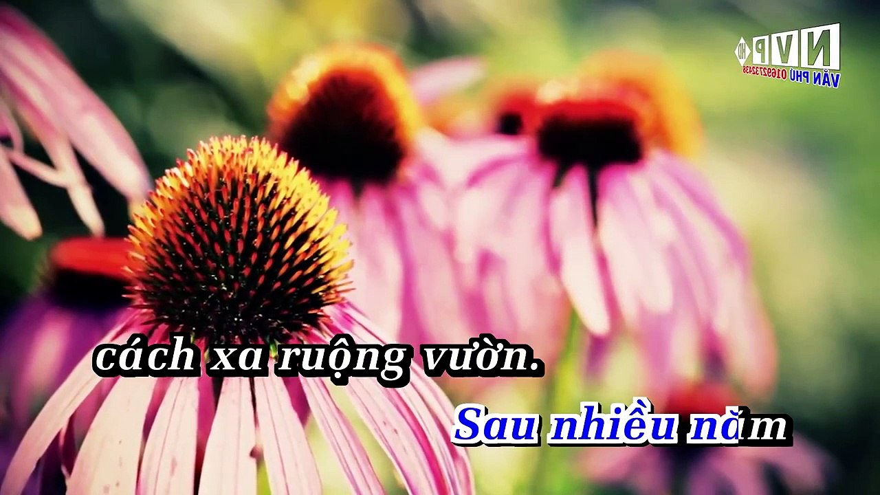 [Karaoke] Giấc Ngủ Đầu Nôi - Nhạc Sống Organ 2015 Full Beat
