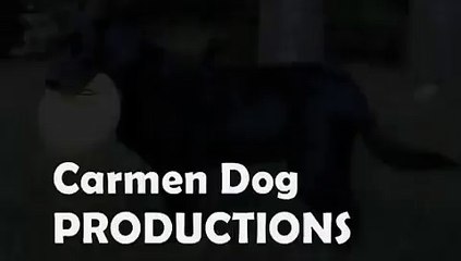 Sit UBU sit, Good Dog!