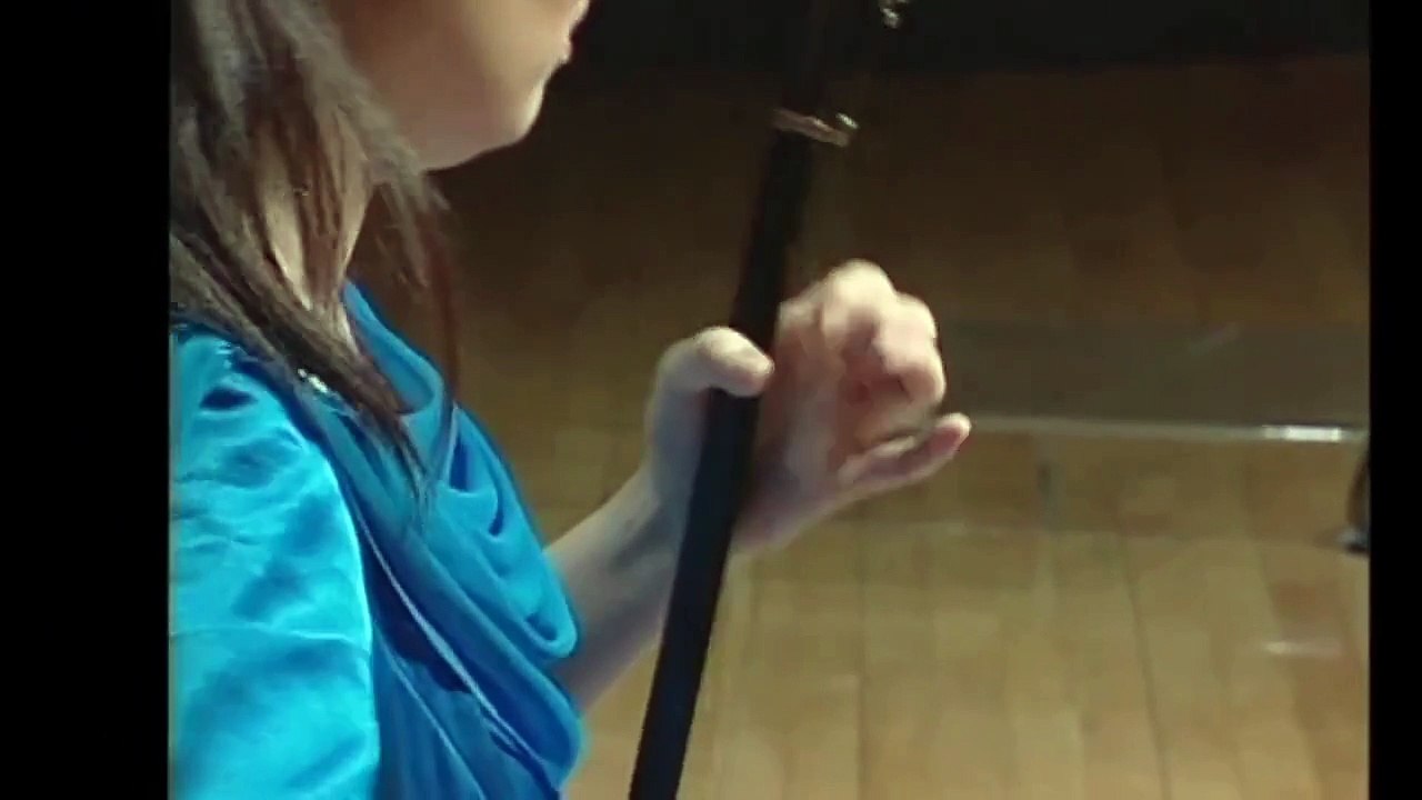 聽松（二胡：宋飛）