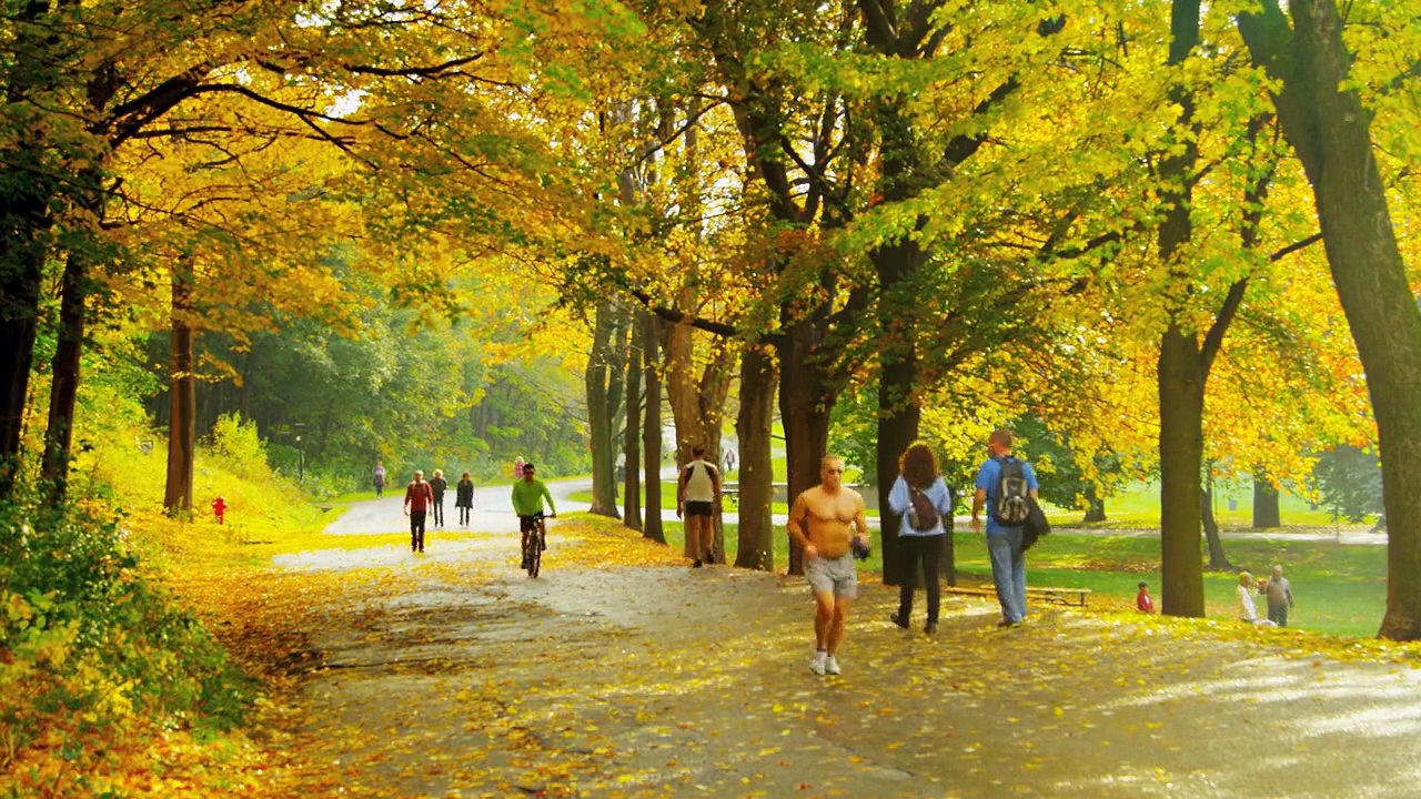 Park 6