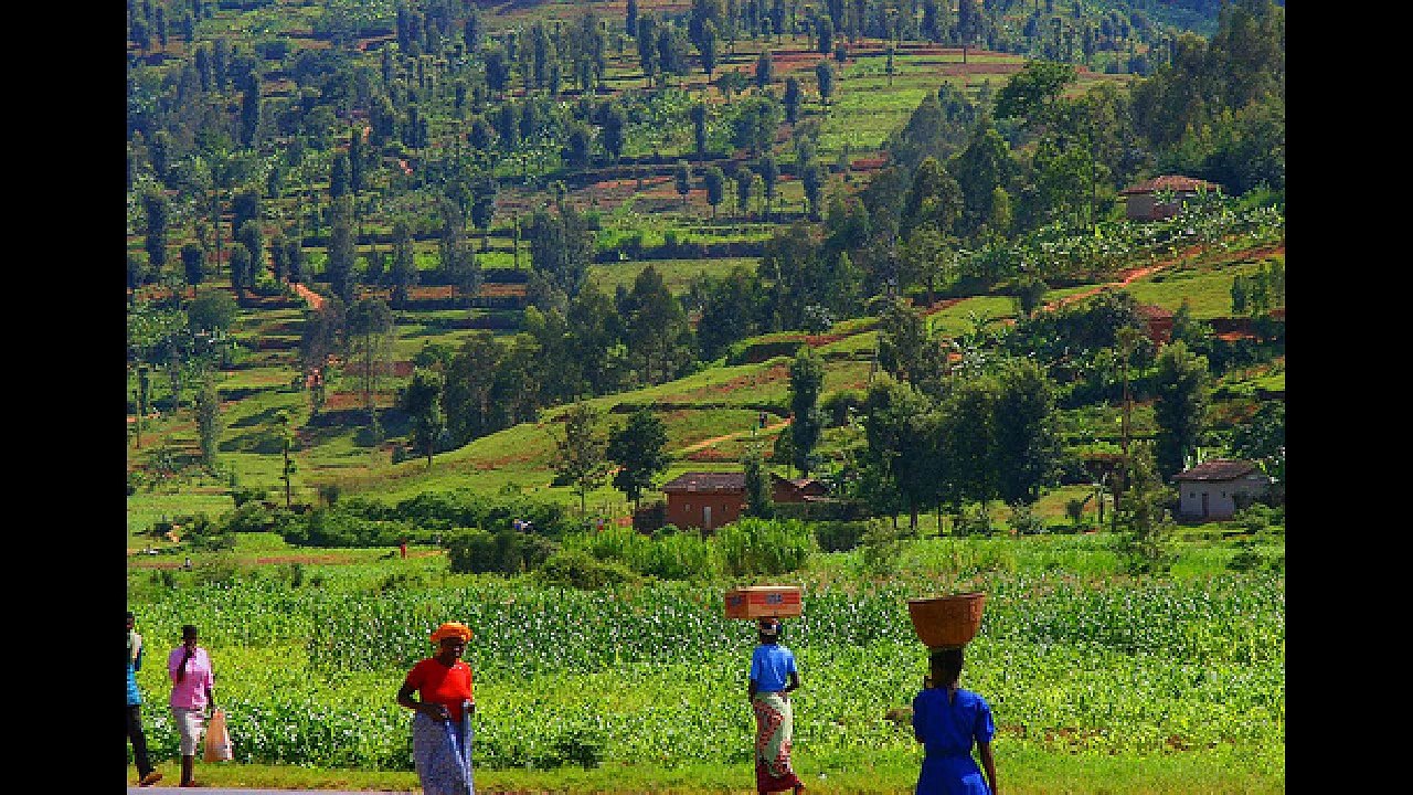 Beautiful Rwanda Landscape - hotels accommodation yacht charter guide