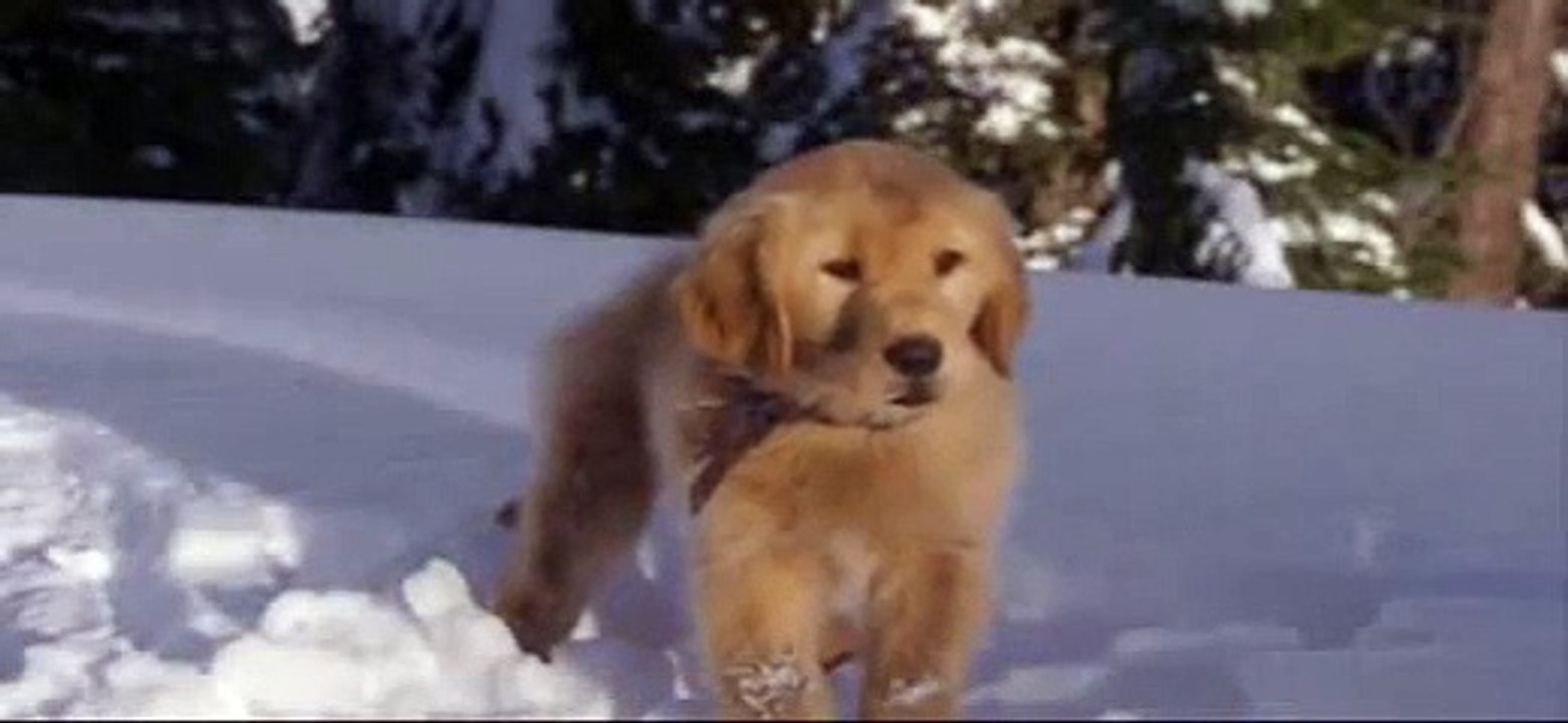 Disney's Snow Buddies: Bloopers