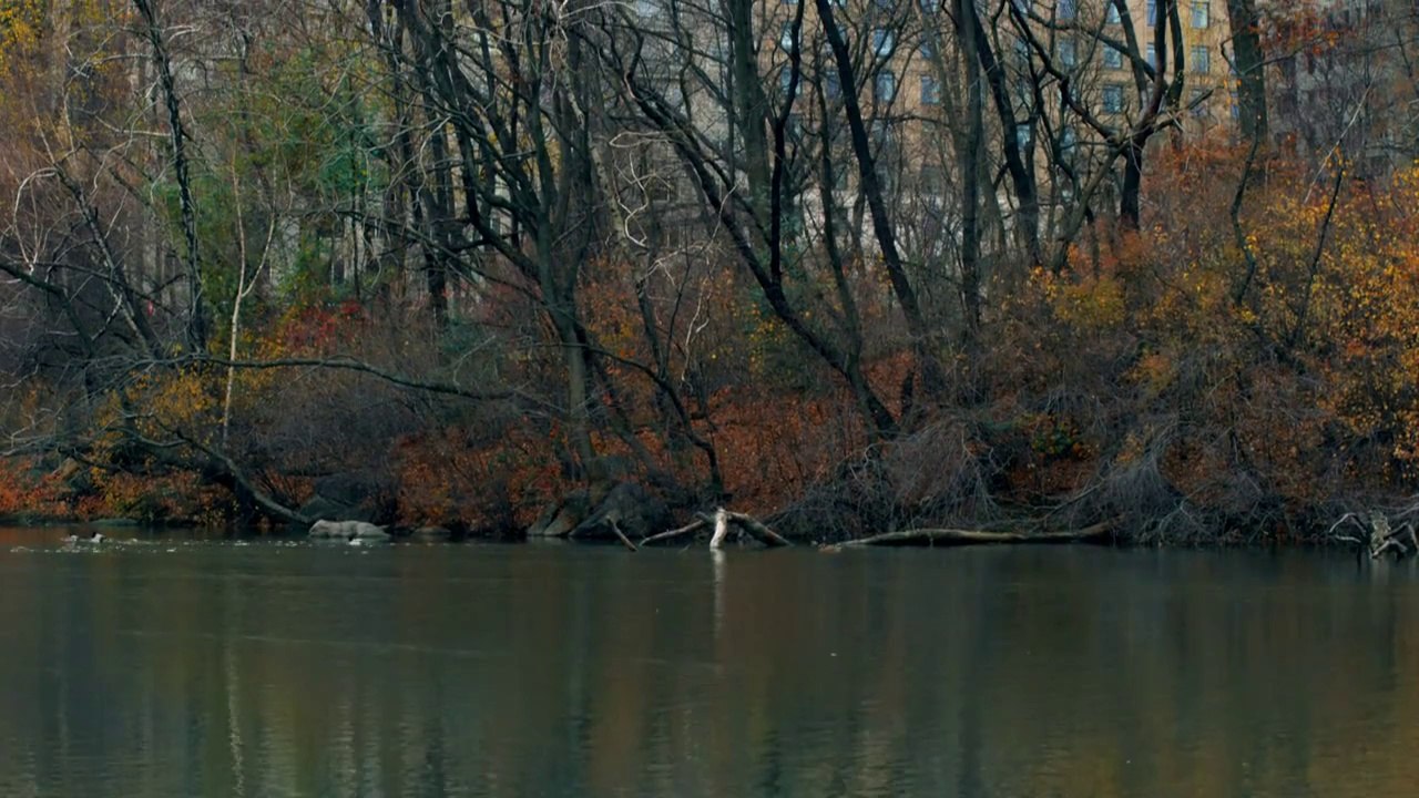 Park 12