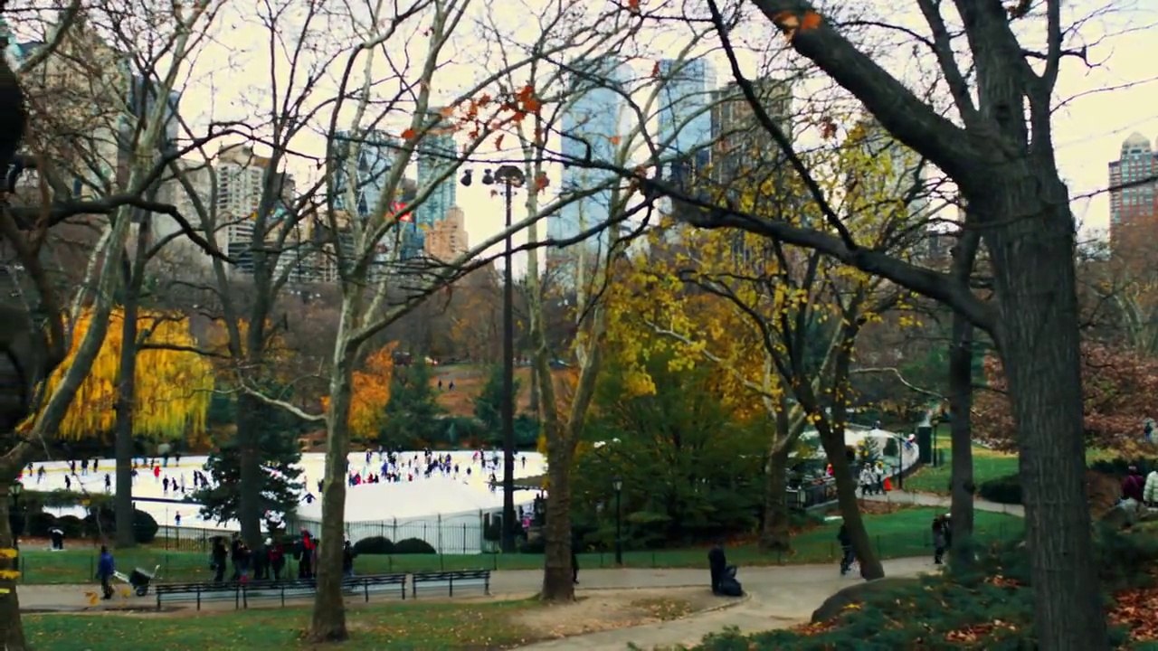 Park 13