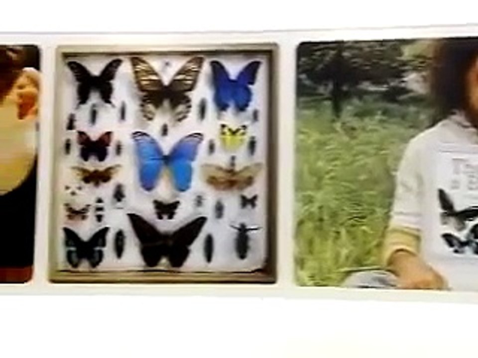 Steve Jobs explains the Apple Store