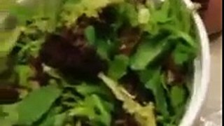 Review on Publix premium salads