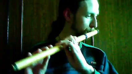 Titanic theme. Тин-вистл, бансури