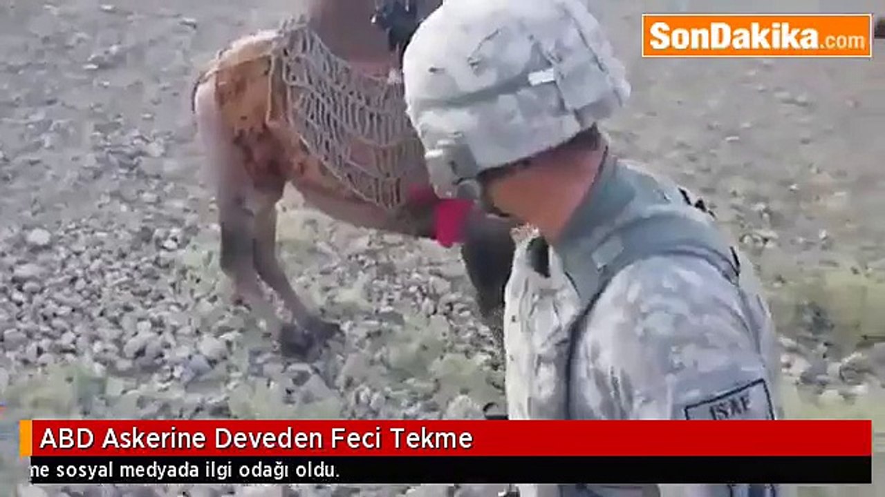 ABD Askerine Deveden Feci Tekme