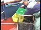 Artes de pesca: Palangre de superficie para la pesca de lubina
