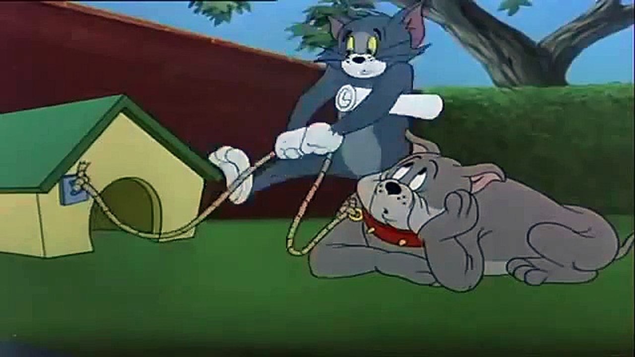 ТОМ И ДЖЕРИ УМНЫЙ КОТИК