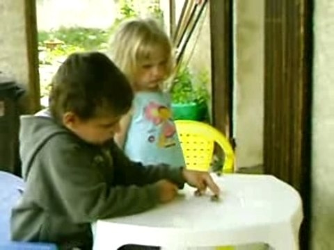 observation des escargots