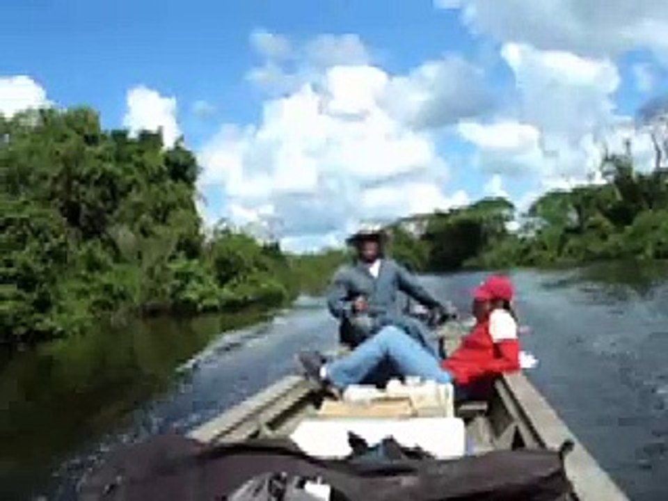 Bolivia Amazing Jungle Tours!