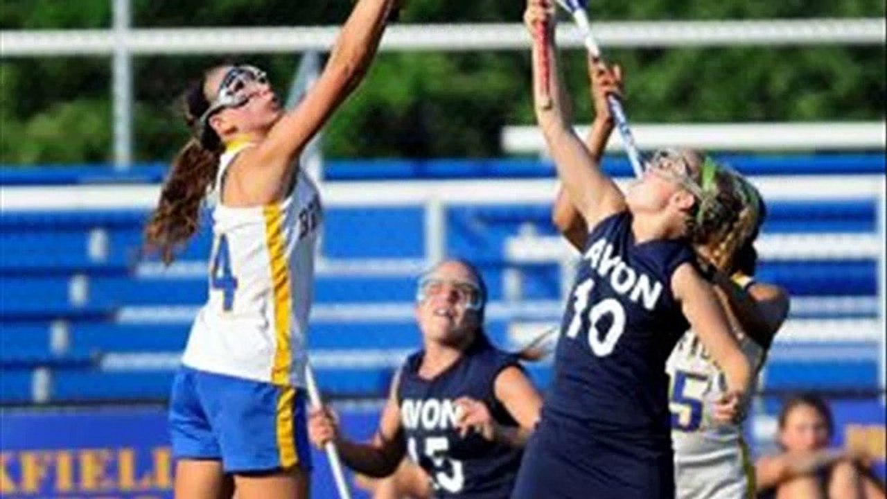 avon park high school fights