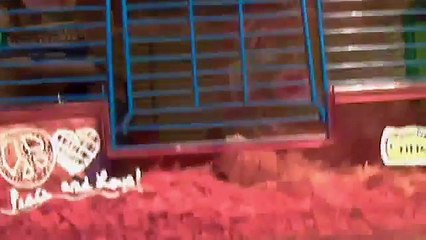 Updated Hamster Cage Tour!!!