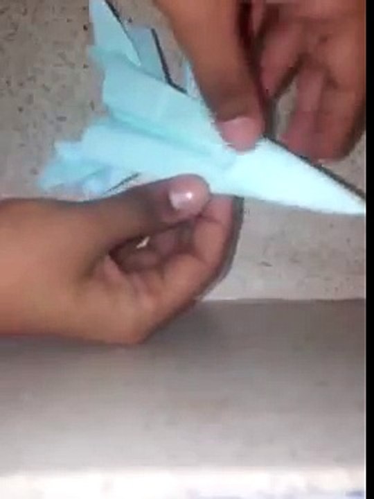F 14 tomcat paper plane by Jai Verma (wings sweep)