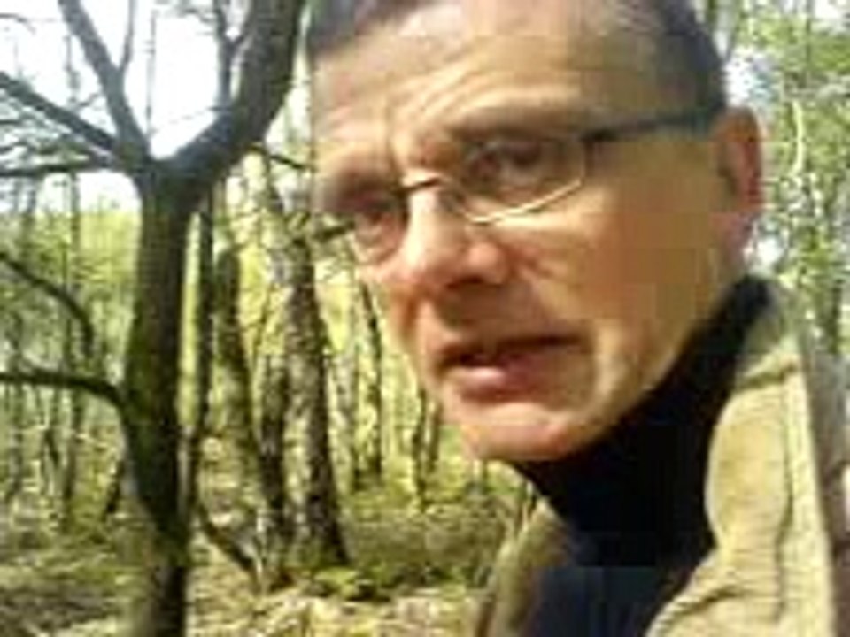 Gendlin's Vast Space