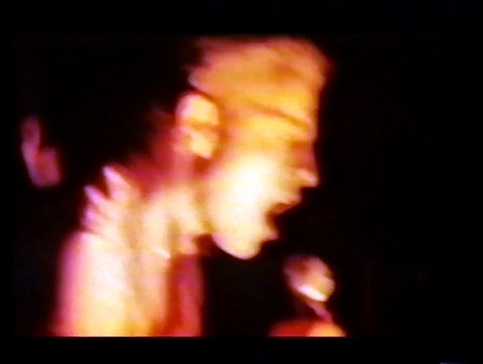 Madness - Night Boat To Cairo (Live)