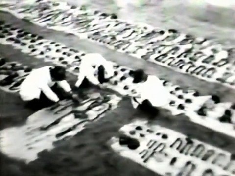 Без срока давности