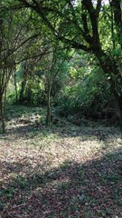 Vídeos,  IPhone 4, Time-lapse, Rio do Sul, Navegantes, SC, Brasil, Marcelo Ambrogi, Setembro, 2015, parte (72)