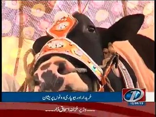 Billa Pehalwan and Bakhtu in Lahore maweshi mandi -