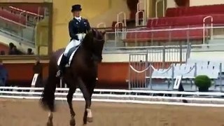 Dressage ~=How To Train Your Dragon=~
