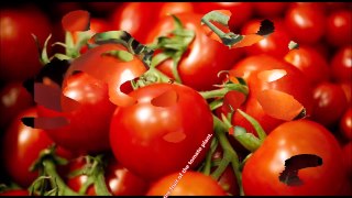 Fruits and Vegetables for Children Learn in English Kids Songs Song Names Name