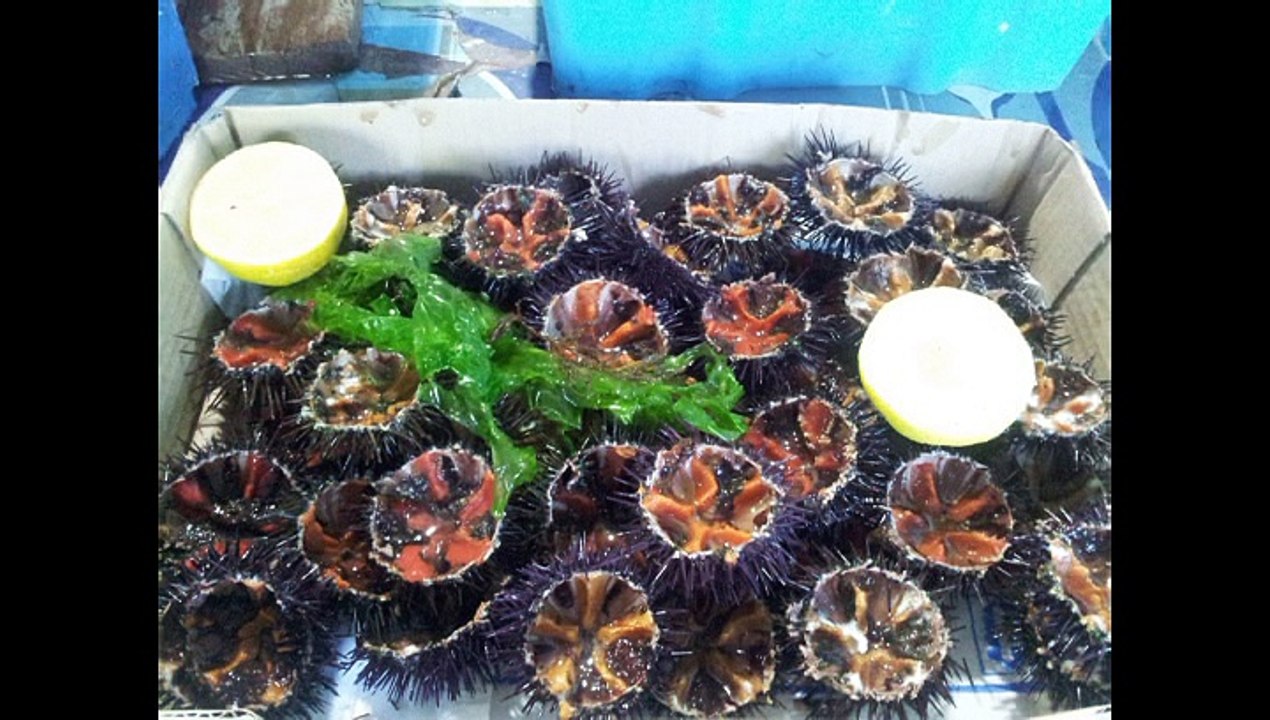 Souvenirs d'Alger