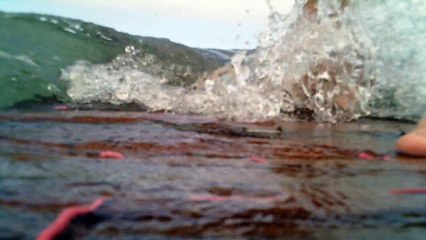 Navegando nos mares reciclados, Ubatuba, SP, Brasil