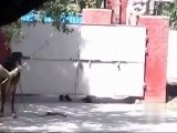 Cow out of control in Lahore - Must Watch Very Funny
