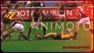 Watch - Werribee vs Northern Blues - 2015 VFL - aussie rules football fights
