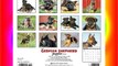 German Shepherd Puppies 2015 Wall Calendar Download Books Free