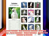 Cockatoos Calendar - Only Cockatoos Calendar - 2016 Wall calendars - Parrot Calendars - Animal