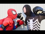 Spiderman vs Black Spiderman - Real Life Superhero Battle | Boxing Fight