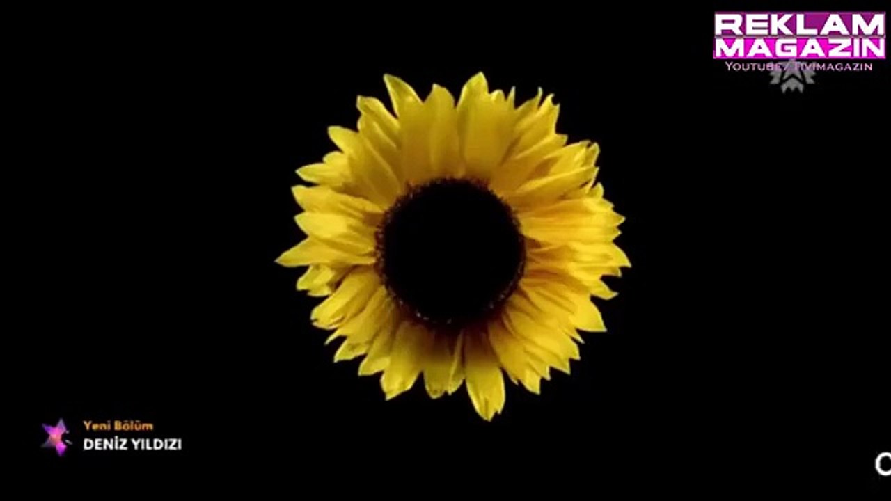 Garnier Olia Çiçeklerin Gücü Reklamı