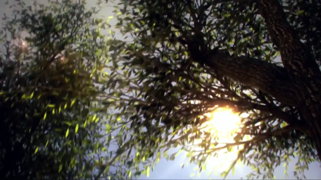 No crezcas más (Tercer Cielo 2015)
