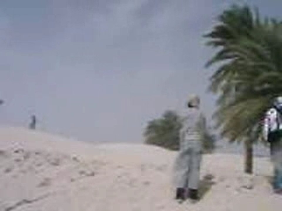 Desert